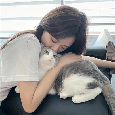 抛妻奇谈2